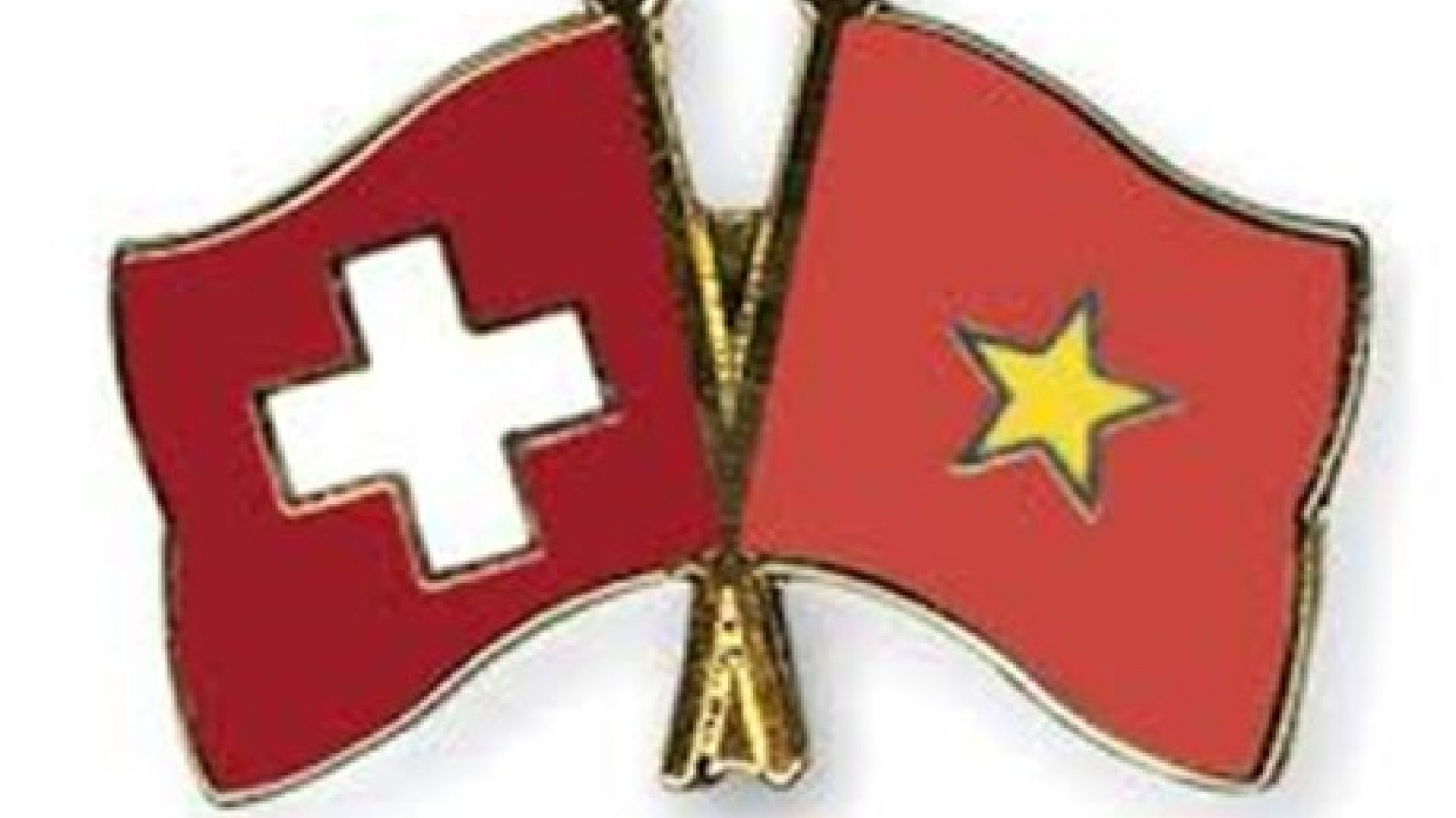 Association contributes to boosting Vietnam-Switzerland ties
