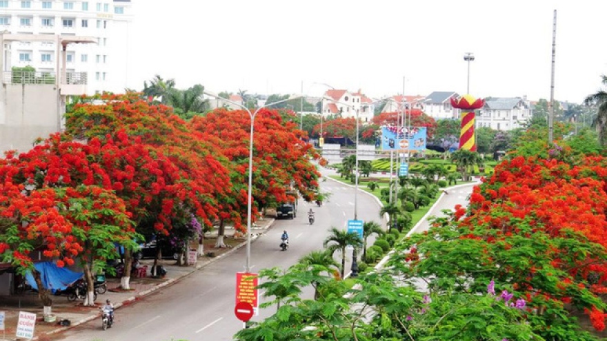 The longest flamboyant road in Vietnam