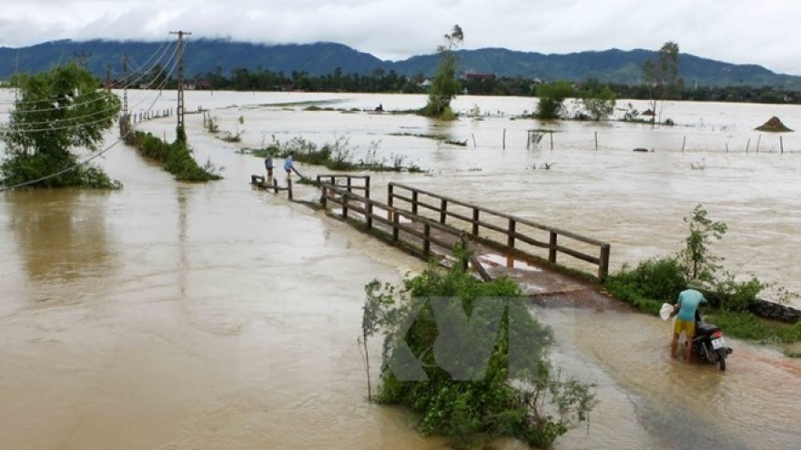 Flood-hit Ha Tinh, Son La provinces receive rice support