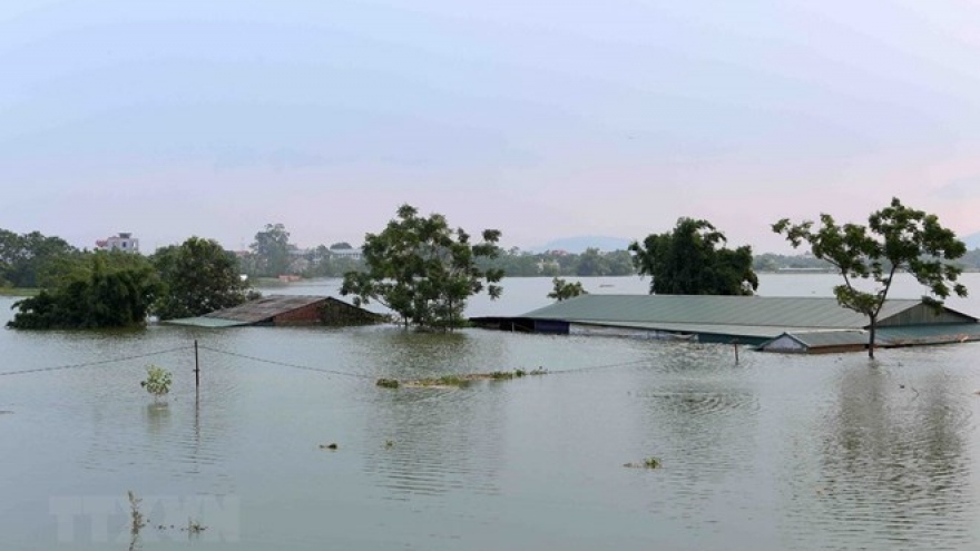 Hanoi moves to address flood impact in suburbs