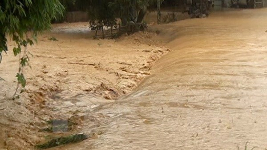 Vietnam to develop natural resources, environment monitoring database