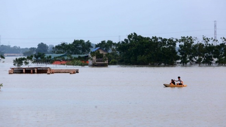 Measures to deal with Mekong Delta flood discussed