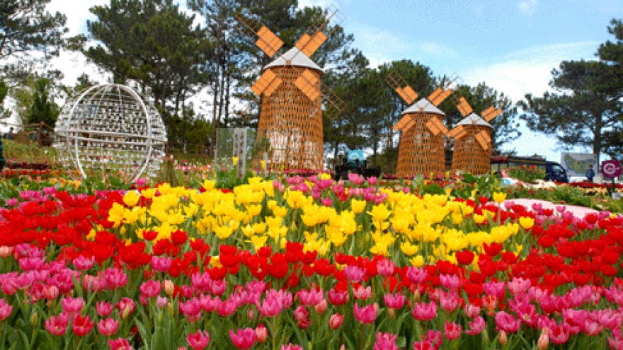 International Flower Festival trade fair opens in Da Lat