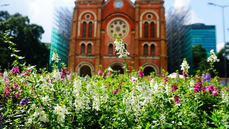 Colourful flower garden at Notre Dame Cathedral in HCM City