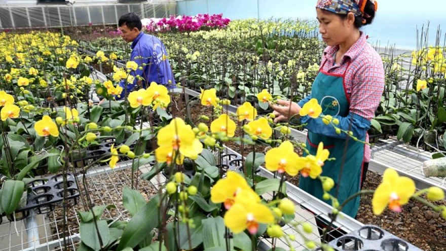 Over 84 percent of Hanoi’s communes gain new-style rural area status