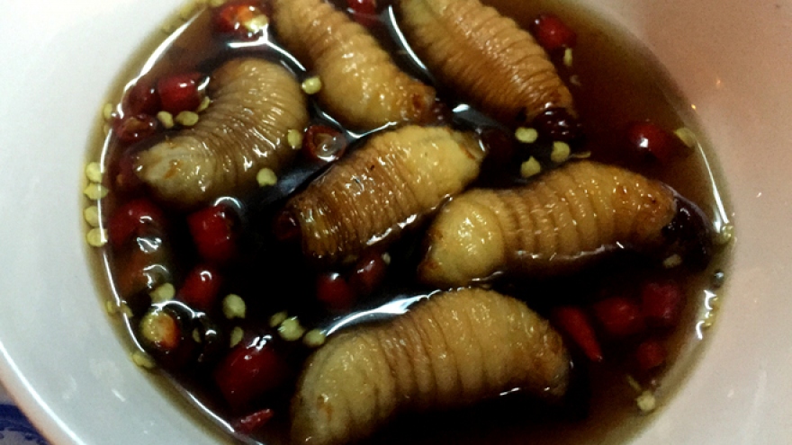 
        Creepy specialties from southern Vietnam
                          
                      