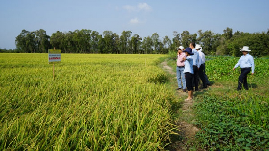 All systems go for APEC food security conference in Can Tho