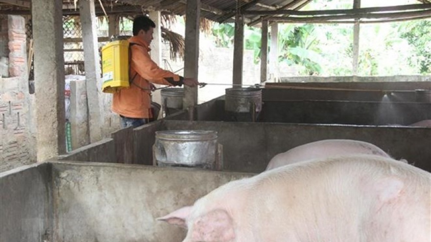 Foot-and-mouth disease reported in 19 localities