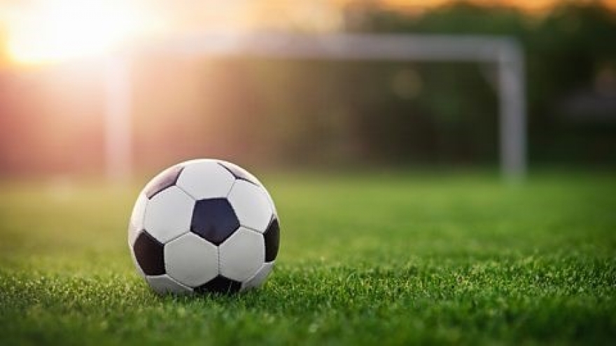Vietnamese expatriates in Russia’s football championship launched