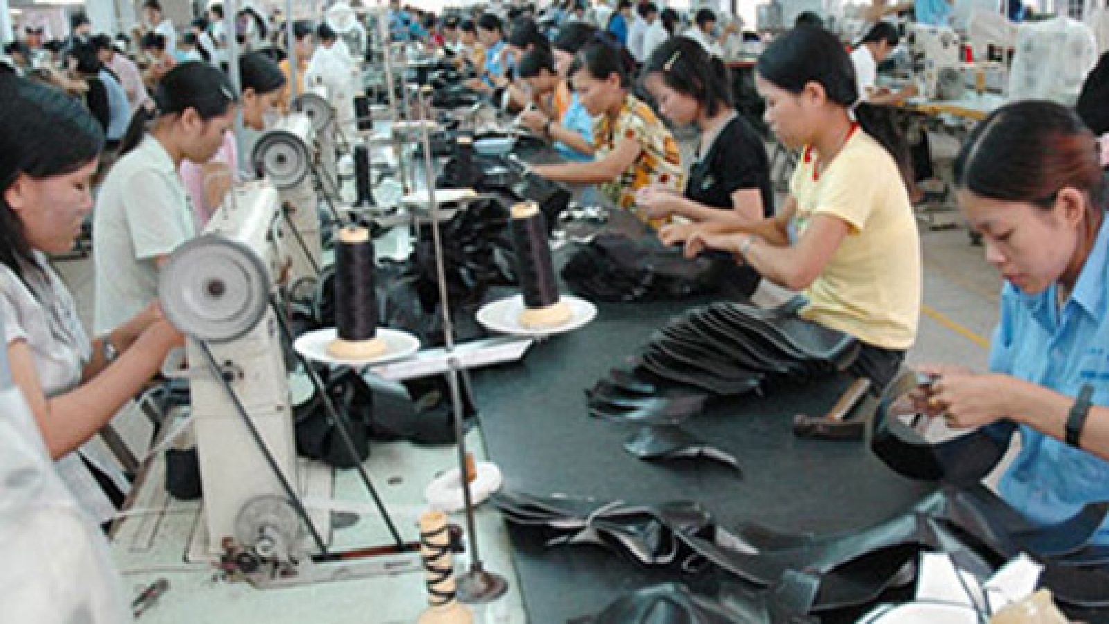 Leather and footwear firms told to join forces ahead of free-trade deals