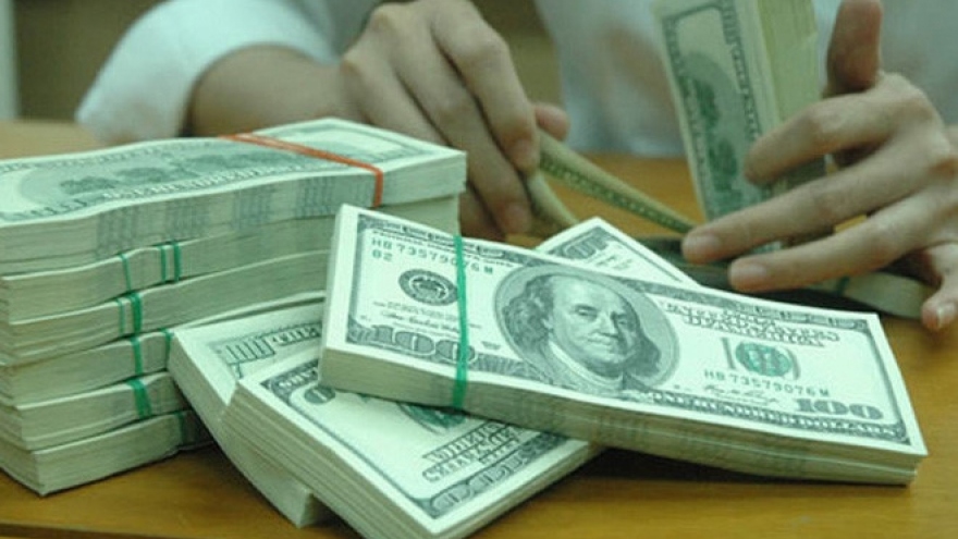 Foreign reserves soar to record high of US$40 billion
