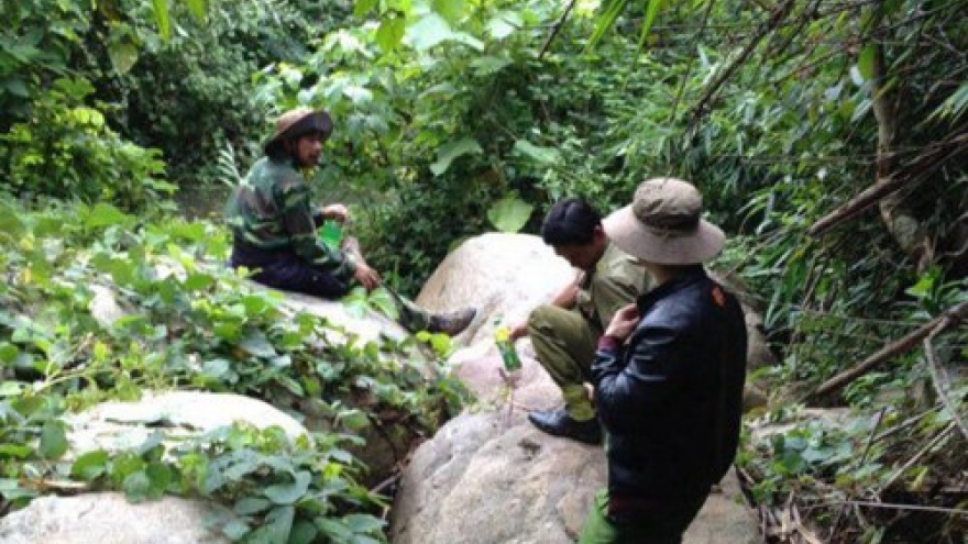 Vietnam man found alive after one week lost in forest