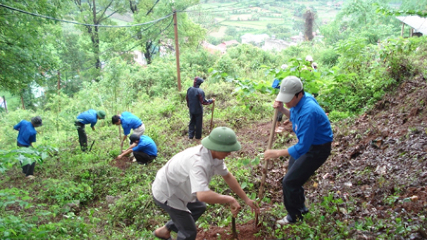 
        JICA evaluates US$70 million ODA loan for forest project
                              