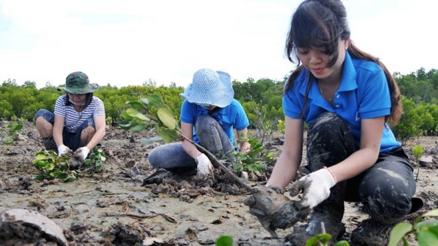 Vietnam wants to promote social forestry in ASEAN: official