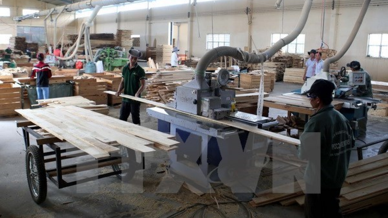 Nearly US$8 billion of forestry products exported in 2017