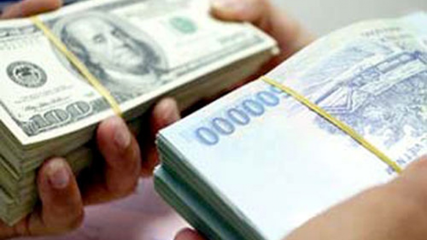 Foreign exchange rate remains unchanged, says SBV