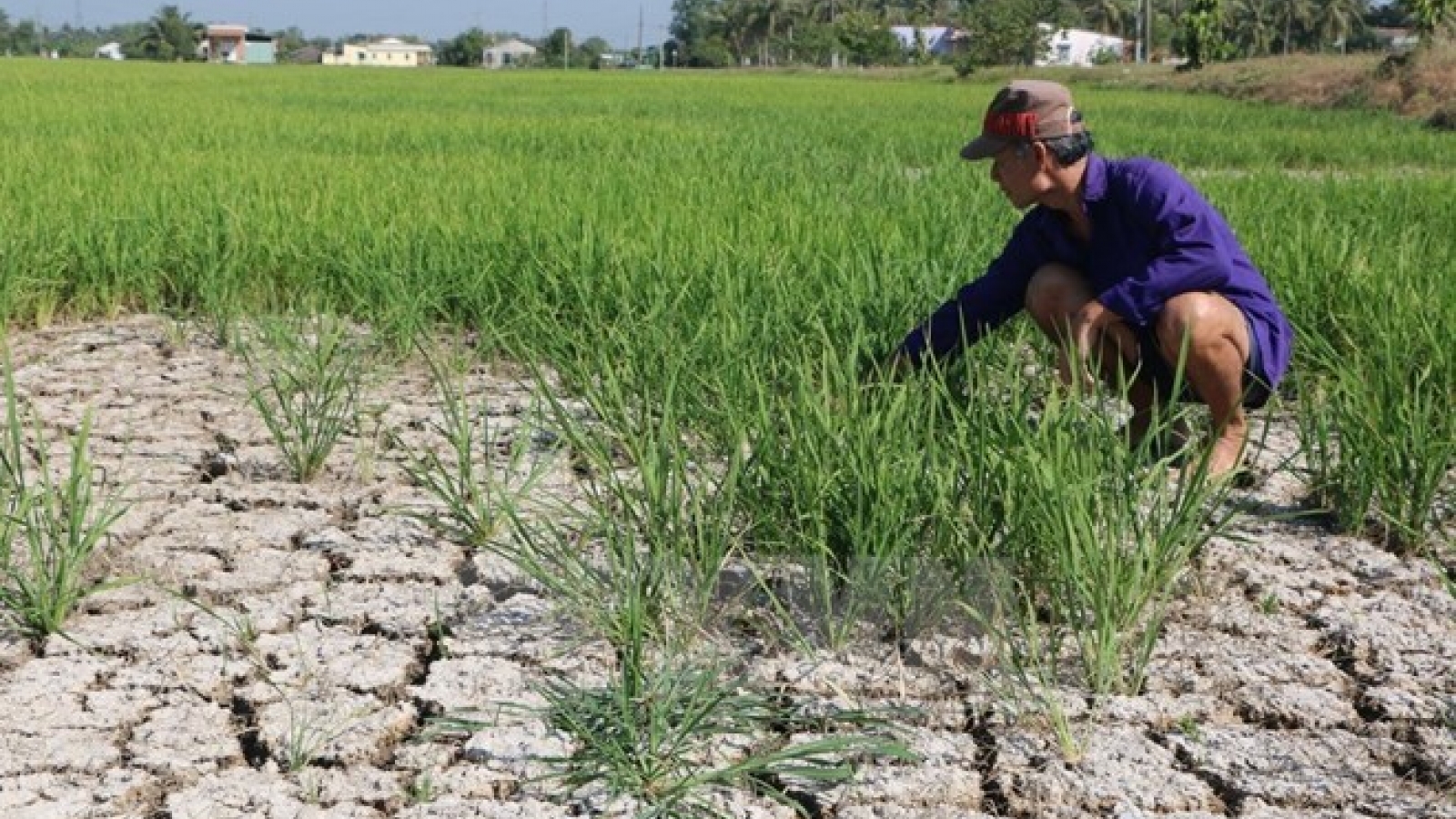 Forum promotes smart agriculture in response to climate change