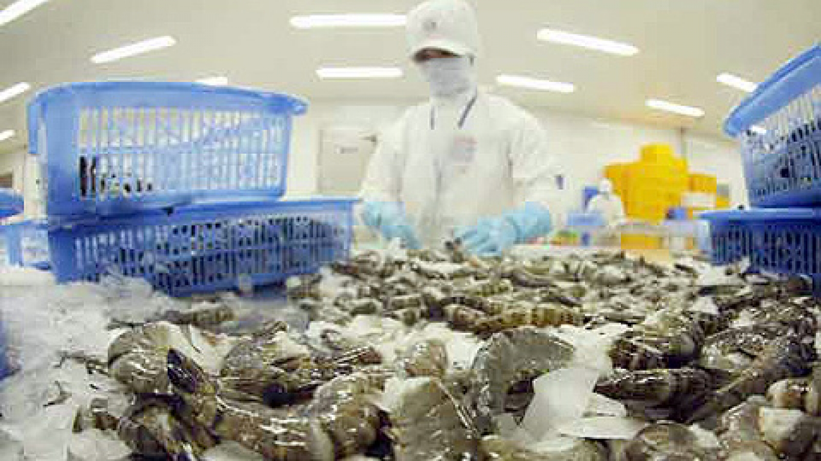 Vietnam leads in shrimp exports to Japan