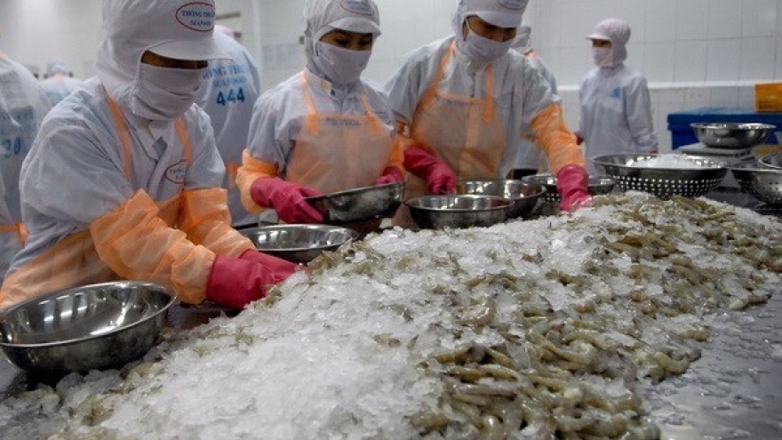 Many challenges await Vietnam’s shrimp export to US