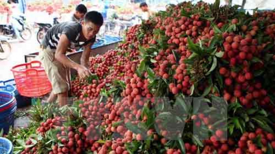 Fruit export surges in first five months