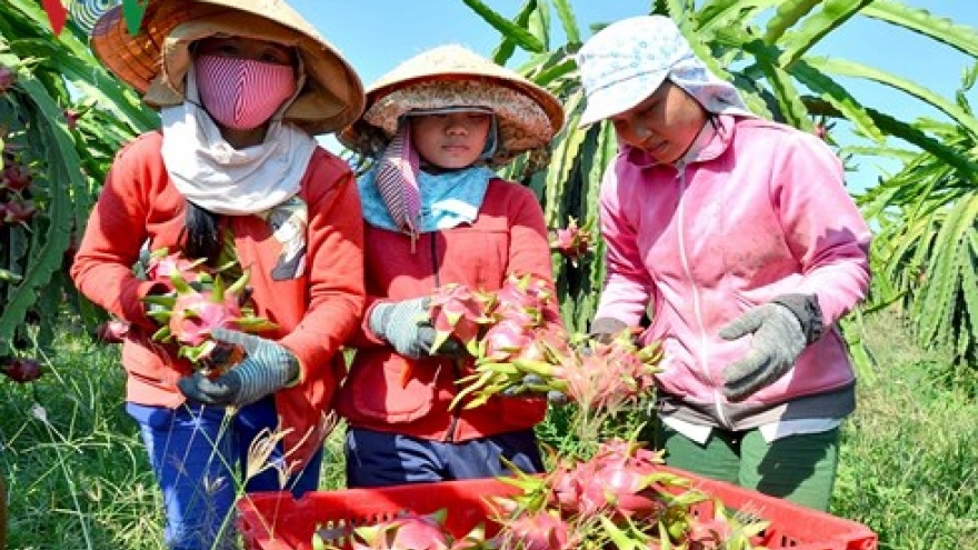 Vietnam’s hi-tech path towards top quality agriculture  