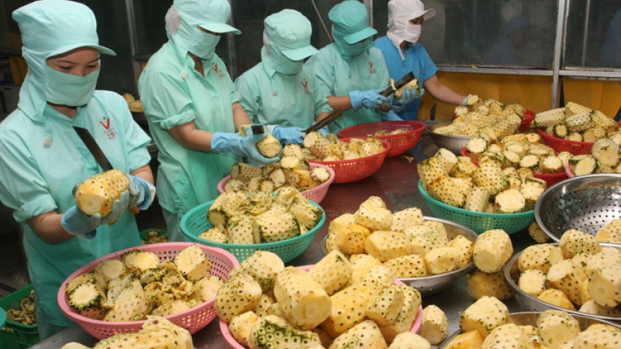 Fruit and vegetable exports see robust growth over 4 months