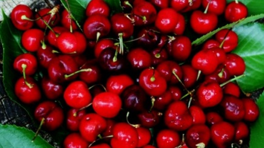 US$2 million expenditure on fruit imports per day