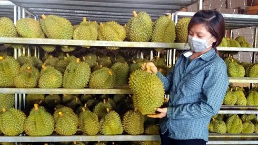 Vietnam’s fruit production grows yet imports still necessary 