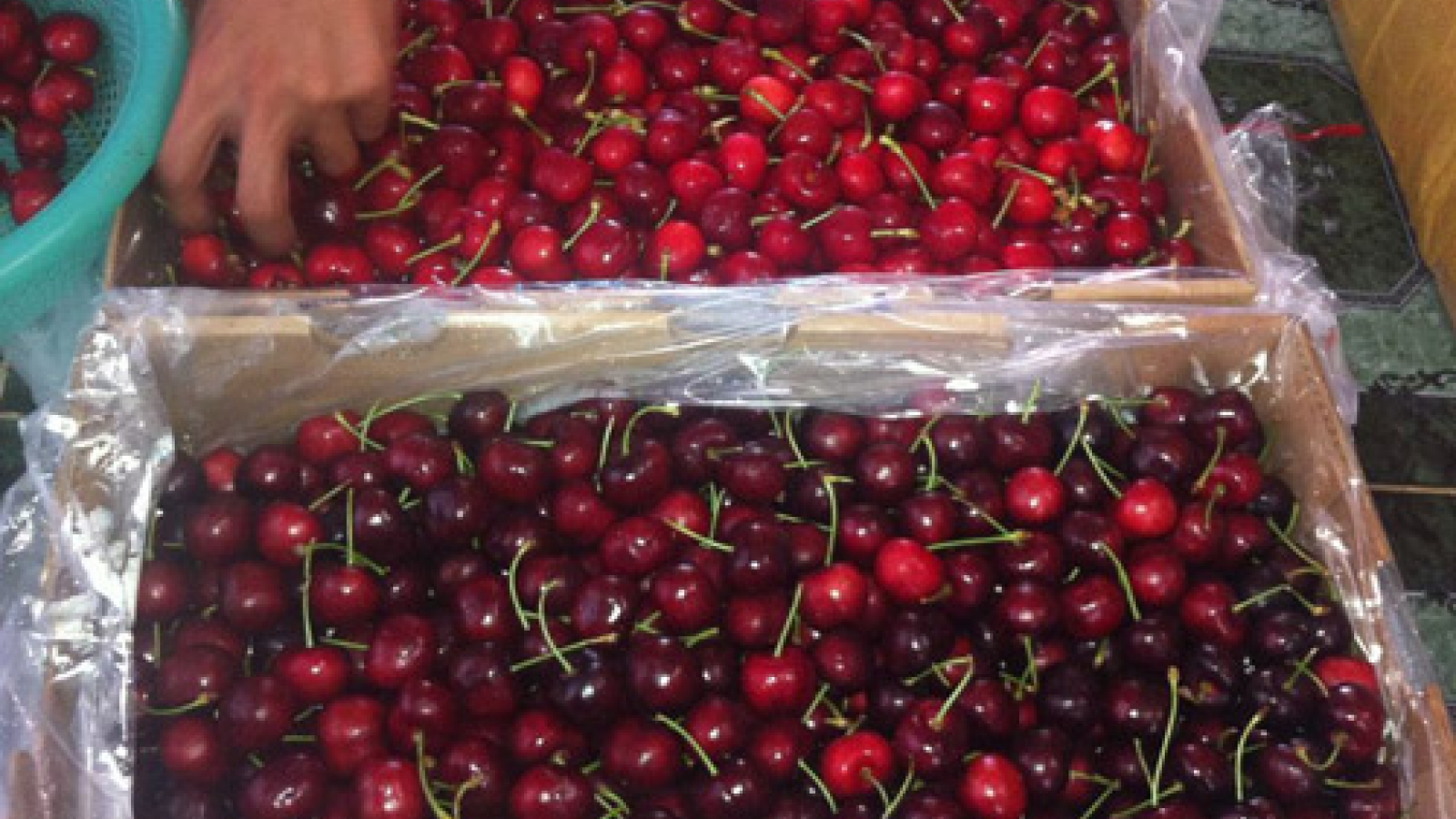 Fruit and vegetable imports from Australia skyrocket