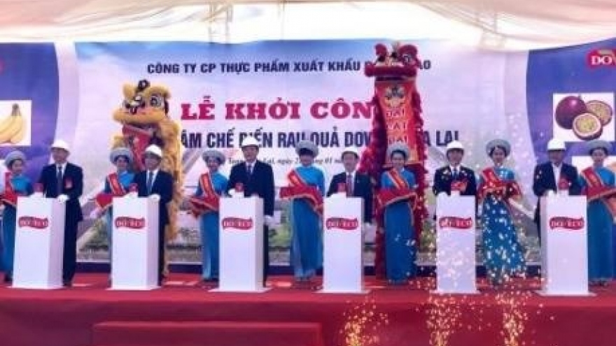 Work starts on fruit processing centre in Gia Lai