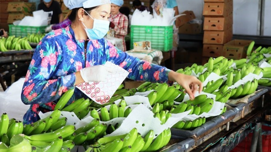 Vietnam’s fruit, veggie exports likely to exceed US$4 billion