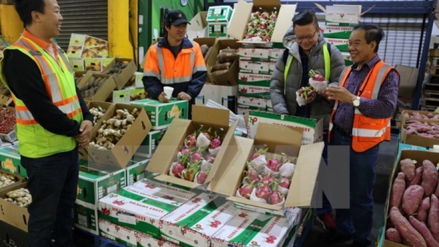Vietnam’s fruit, vegetable exports up 33.4% in Q1