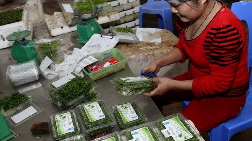 Fruit, veggie exports estimated at US$321 million in January