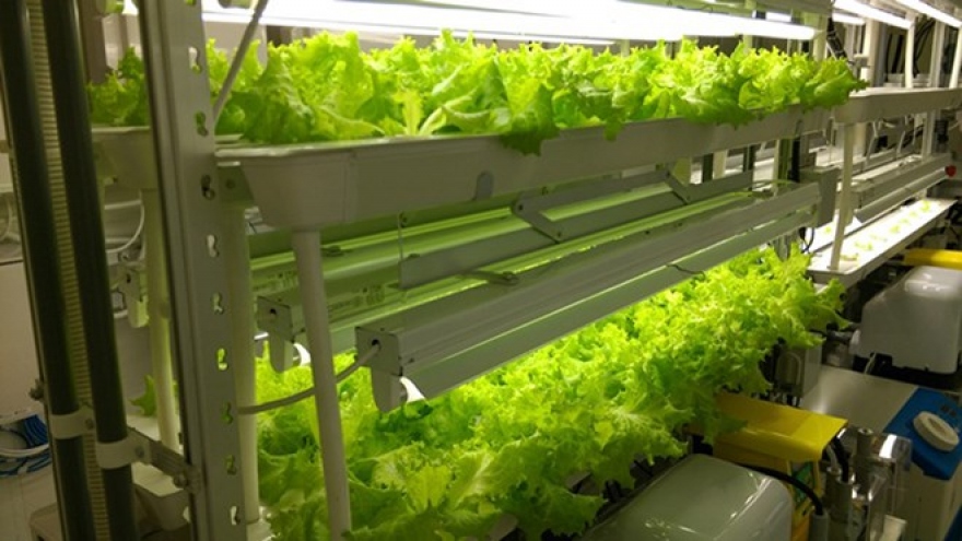 FPT, Fujitsu launch smart agriculture centre