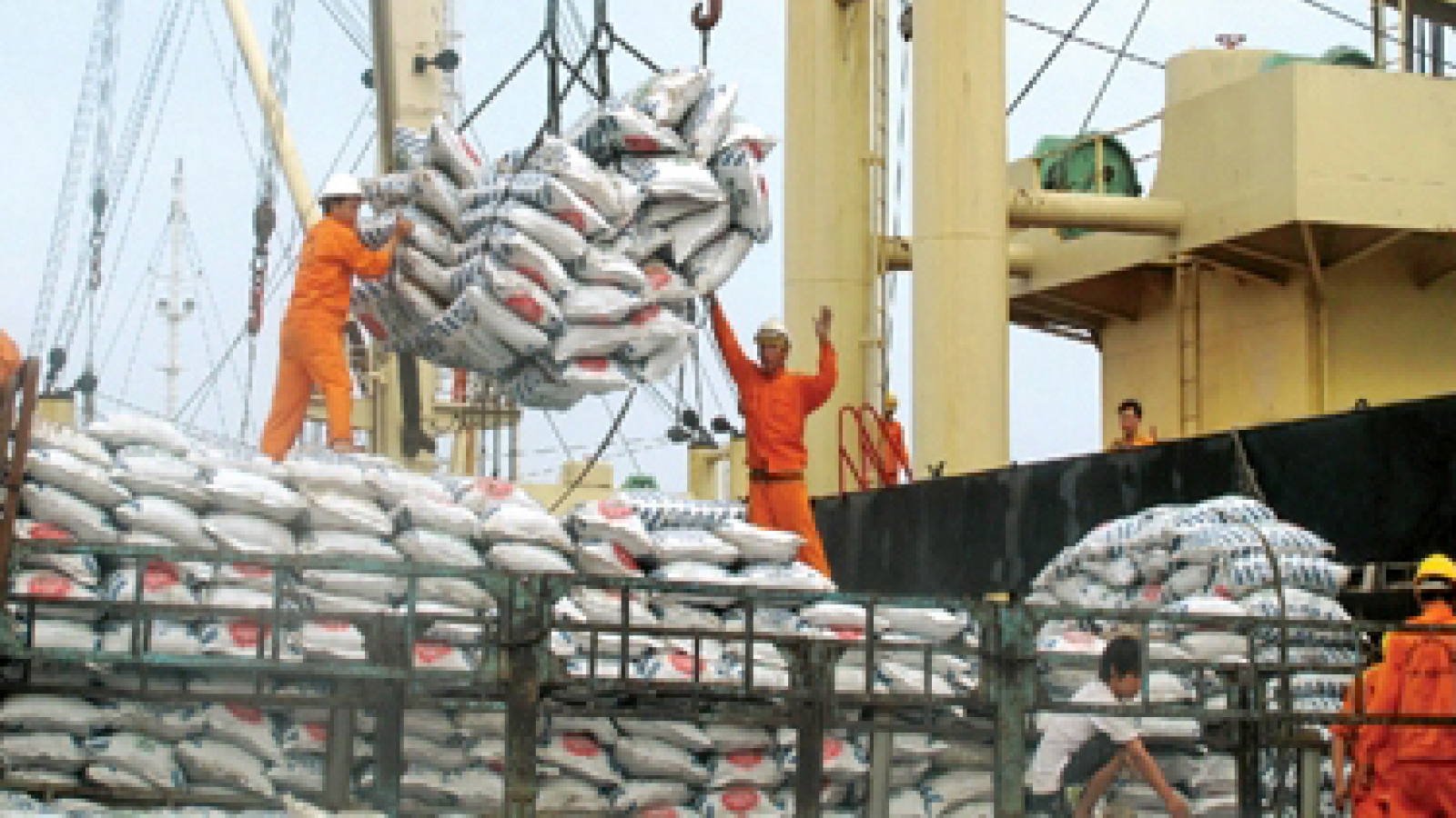 Experts: Vietnam should roll-out a national rice brand