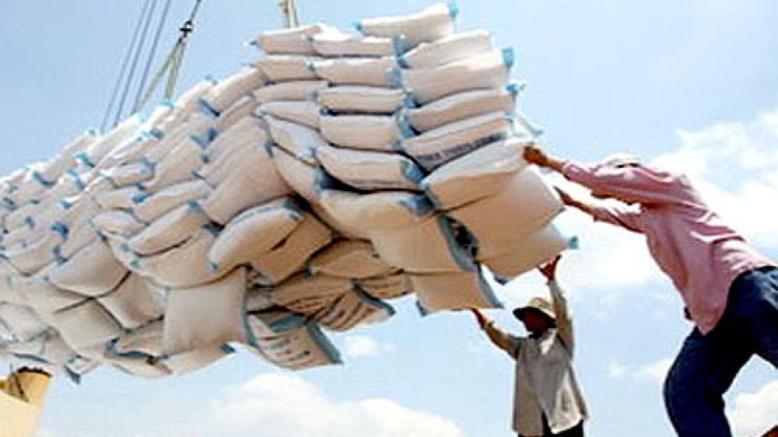 Vietnam on course to become largest rice exporter