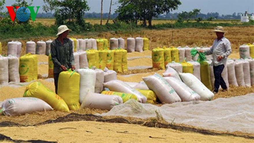 El Niño could be double edged sword for rice harvest