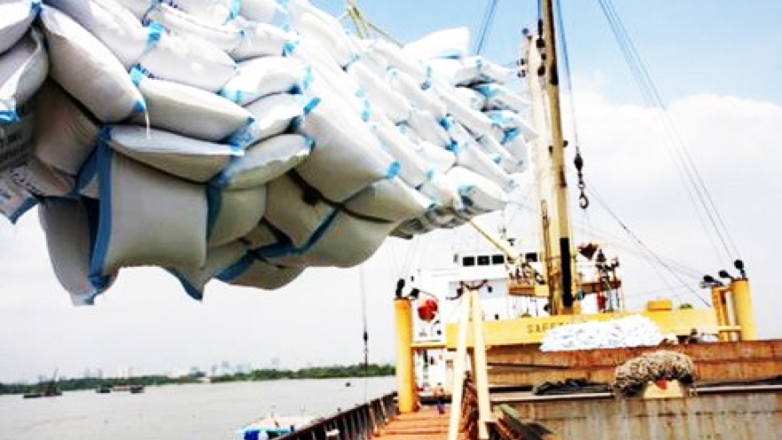 Export price of rice suffers dramatic decrease