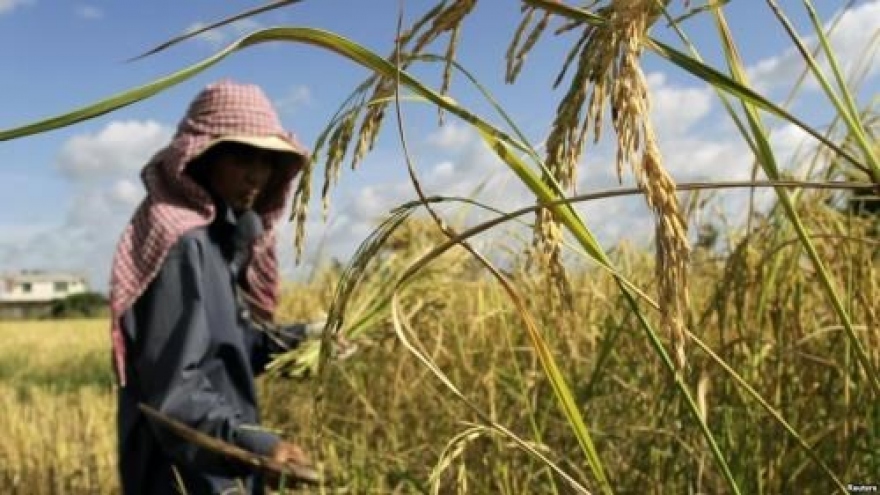 ADB approves new loan to help Cambodia develop agriculture