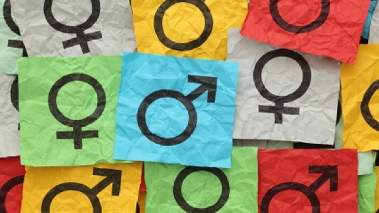 Social determinants of gender inequality in Vietnam