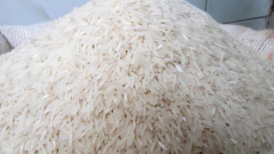 Government pushes domestic rice exports