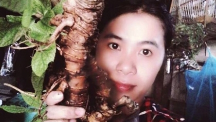 Ginseng queen grows over 600 medicinal plants