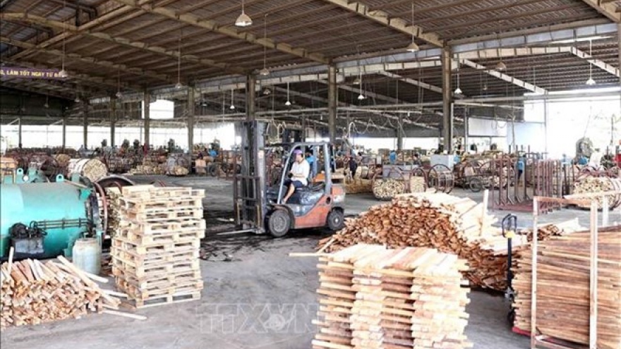 EVFTA to sustainably boost Vietnam’s wood exports to EU
