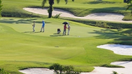 National amateur male golf tourney to kick off