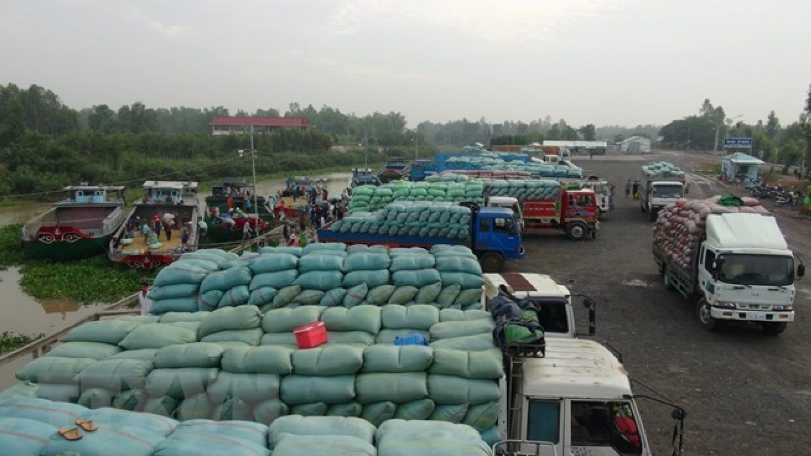 Vietnamese, Chinese localities enhance border customs cooperation