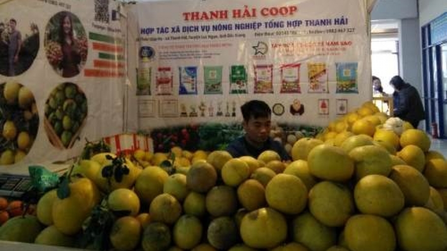 Local staples offered at Hanoi’s spring fair 2019