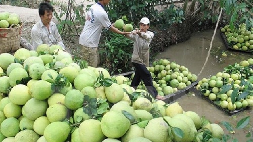 Mekong Delta farming cooperatives link up