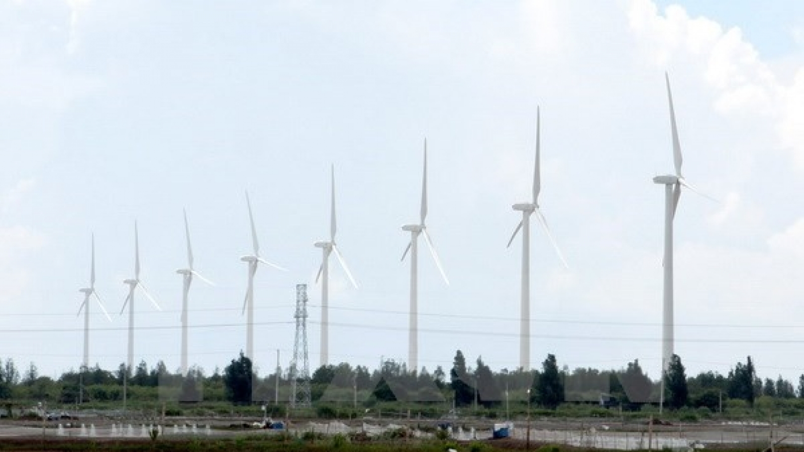 Bac Lieu utilises green energy