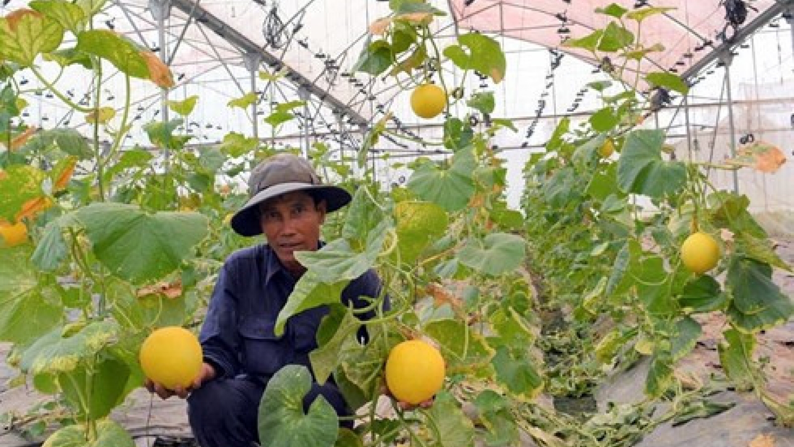 Green growth promoted to respond to climate change