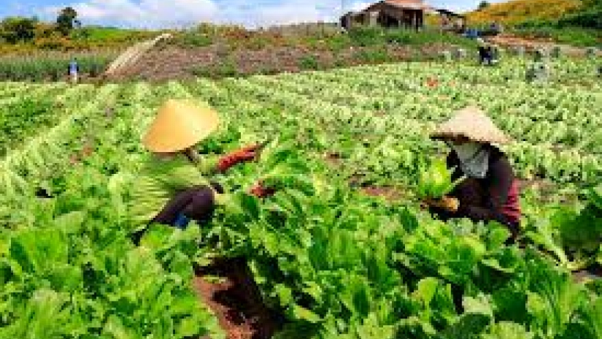 Vietnam boasts huge potential for green growth